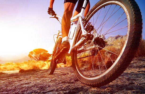 Ciclo